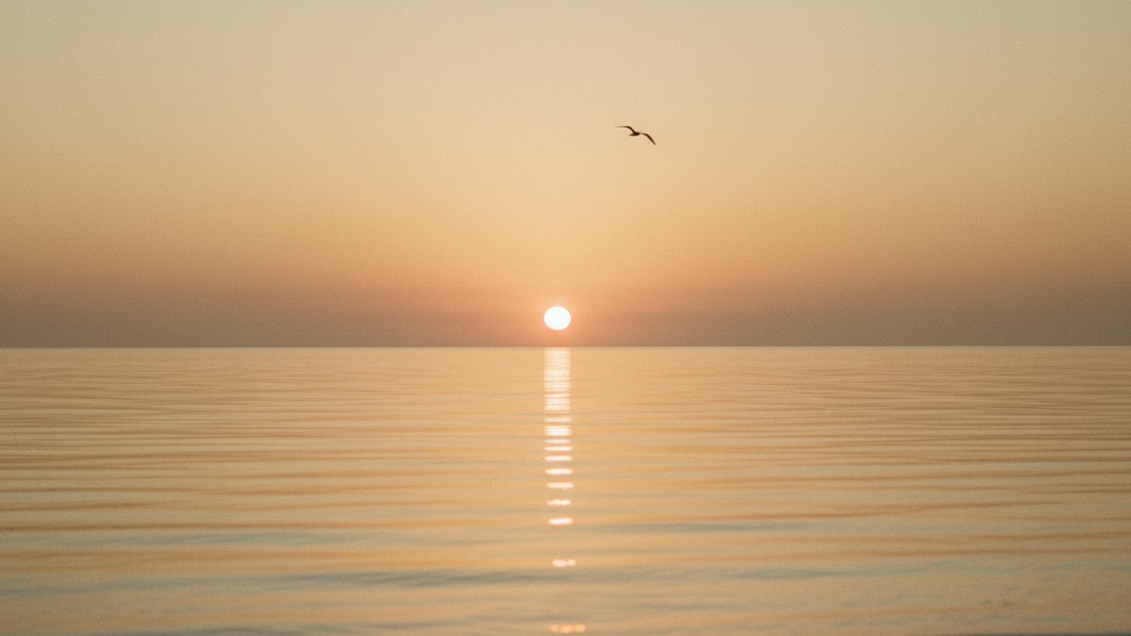 Illustration representing what happens when you die.